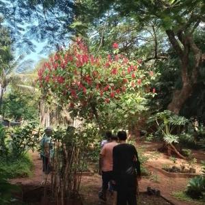 Imagem da notícia MÊS DA ÁGUA – VISITA AO HORTO MUNICIPAL