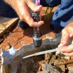 Imagem da notícia NÃO HÁ DENGUE SE NÃO TEM ÁGUA PARADA