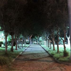 Imagem da notícia JAHU ILUMINADA!