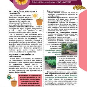 Imagem da notícia O PAPEL VITAL DAS SEMENTES