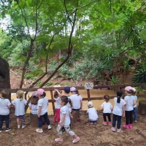 Imagem da notícia CRIANÇAS DA EDUCAÇÃO INFANTIL VISITAM O HORTO