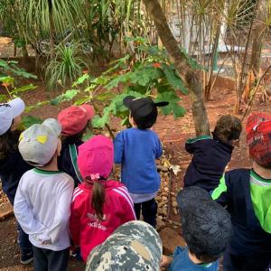 Imagem da notícia CRIANÇAS DA EDUCAÇÃO INFANTIL VISITAM O HORTO