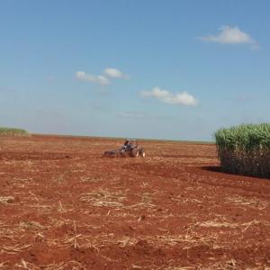 Imagem da notícia PREFEITURA PRESTA SERVIÇO A PEQUENOS PRODUTORES RURAIS