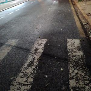 Imagem da notícia SERVIÇOS DE LIMPEZA DE ÁREAS PÚBLICAS CONTINUAM