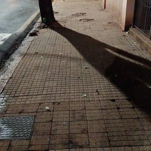 Imagem da notícia SERVIÇOS DE LIMPEZA DE ÁREAS PÚBLICAS CONTINUAM