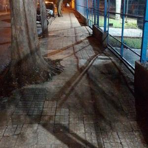 Imagem da notícia SERVIÇOS DE LIMPEZA DE ÁREAS PÚBLICAS CONTINUAM