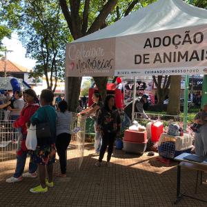 Imagem da notícia SÁBADO ESPECIAL NO JARDIM DE BAIXO EM HOMENAGEM ÀS MÃES