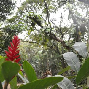 Imagem da notícia Palestra e exposição relembram Revolução Constitucionalista de 1932 - FOTOS