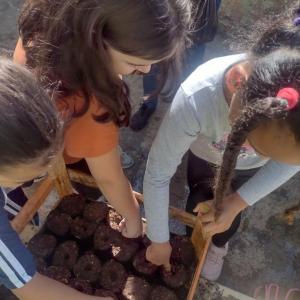 Imagem da notícia CRIANÇAS FAZEM VIVEIROS DE MUDAS DE ÁRVORES E PLANTAS ORNAMENTAIS