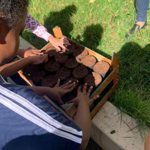 Imagem da notícia CRIANÇAS FAZEM VIVEIROS DE MUDAS DE ÁRVORES E PLANTAS ORNAMENTAIS