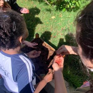 Imagem da notícia CRIANÇAS FAZEM VIVEIROS DE MUDAS DE ÁRVORES E PLANTAS ORNAMENTAIS