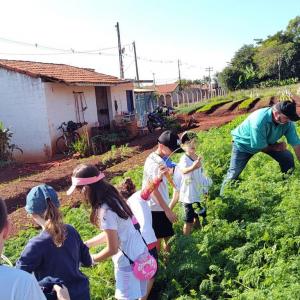 Imagem da notícia HORTA DO JARDIM ITAMARATI RECEBE VISITA DE ESTUDANTES
