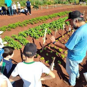 Imagem da notícia HORTA DO JARDIM ITAMARATI RECEBE VISITA DE ESTUDANTES