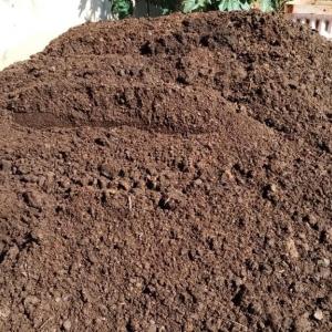Imagem da notícia HORTA DO JARDIM ITAMARATI RECEBE VISITA DE ESTUDANTES