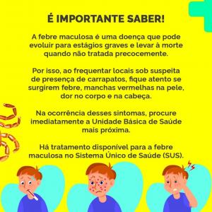 Imagem da notícia ORIENTAÇÕES SOBRE FEBRE MACULOSA