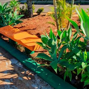 Imagem da notícia PRAÇA BIA BASTOS PASSA POR REVITALIZAÇÃO