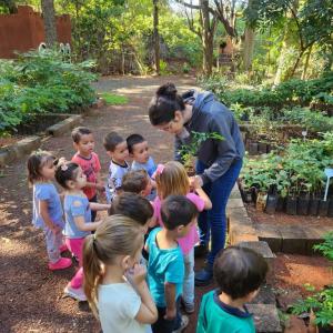 Imagem da notícia CASA DA CRIANÇA VISITA HORTO MUNICIPAL