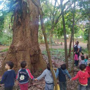 Imagem da notícia CASA DA CRIANÇA VISITA HORTO MUNICIPAL
