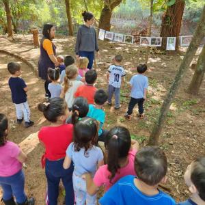 Imagem da notícia CASA DA CRIANÇA VISITA HORTO MUNICIPAL