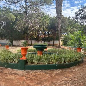 Imagem da notícia PRAÇA NO INÍCIO DA RUA QUINTINO É REVITALIZADA