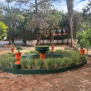 Imagem da notícia PRAÇA NO INÍCIO DA RUA QUINTINO É REVITALIZADA