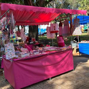 Imagem da notícia 30º FESTIVAL DE INVERNO – CLÁSSICOS MUSICAIS NO JARDIM NO JARDIM DE BAIXO