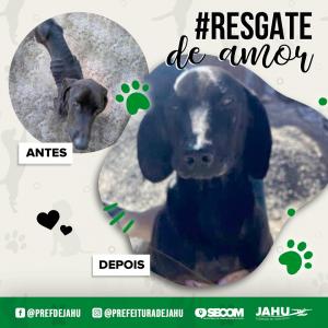 Imagem da notícia HORA DE TER UM LAR – ADOÇÃO RESPONSÁVEL