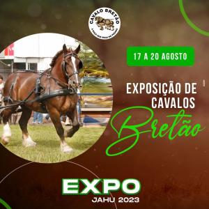 Imagem da notícia CONFIRA MAIS ATRAÇÕES DA NOSSA EXPO
