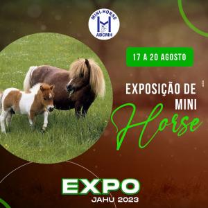 Imagem da notícia CONFIRA MAIS ATRAÇÕES DA NOSSA EXPO