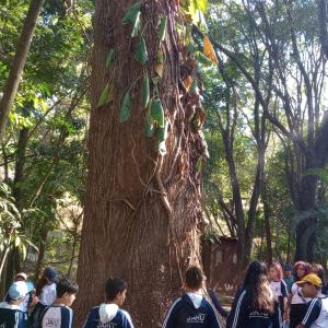 Imagem da notícia ESTUDANTES DA EMEF ALVARINA BIZARRO SOUZA VISITAM HORTO MUNICIPAL