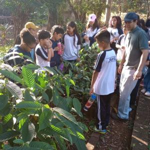 Imagem da notícia ESTUDANTES DA EMEF ALVARINA BIZARRO SOUZA VISITAM HORTO MUNICIPAL
