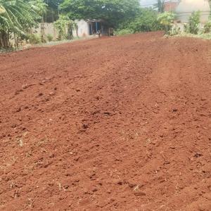 Imagem da notícia PREFEITURA PROMOVE REVITALIZAÇÃO DA HORTA DO JARDIM SÃO JOSÉ
