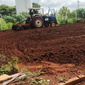 Imagem da notícia PREFEITURA PROMOVE REVITALIZAÇÃO DA HORTA DO JARDIM SÃO JOSÉ