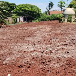 Imagem da notícia PREFEITURA PROMOVE REVITALIZAÇÃO DA HORTA DO JARDIM SÃO JOSÉ