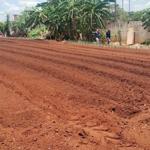 Imagem da notícia PREFEITURA PROMOVE REVITALIZAÇÃO DA HORTA DO JARDIM SÃO JOSÉ