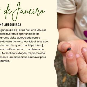 Imagem da notícia BALANÇO - FÉRIAS NO HORTO