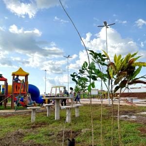 Imagem da notícia PREFEITURA REALIZA PLANTIO DE ÁRVORES NO JARDIM BELA VISTA