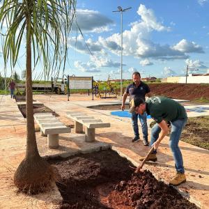 Imagem da notícia PREFEITURA REALIZA PLANTIO DE ÁRVORES NO JARDIM BELA VISTA