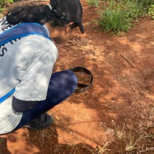 Imagem da notícia COMBATE À DENGUE - ABRIGO SÃO LOURENÇO