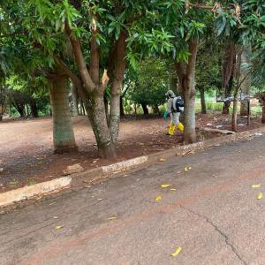 Imagem da notícia COMBATE À DENGUE - POUSO ALEGRE DE BAIXO E CILA DE LÚCIO BAUAB