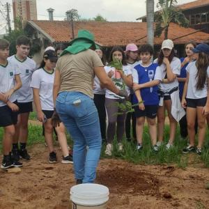 Imagem da notícia MUDAS DE ÁRVORES NATIVAS SÃO PLANTADAS À MARGEM DO RIO JAÚ