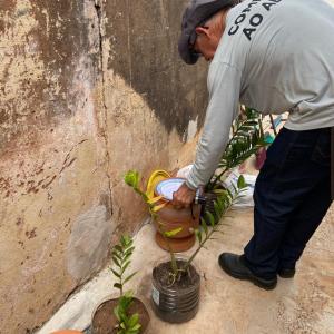 Imagem da notícia COMBATE À DENGUE - VILA SAMPAIO E CILA DE LÚCIO BAUAB