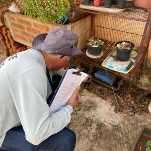 Imagem da notícia COMBATE À DENGUE - VILA SAMPAIO E CILA DE LÚCIO BAUAB