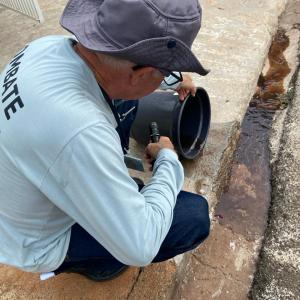 Imagem da notícia COMBATE À DENGUE - VILA SAMPAIO E CILA DE LÚCIO BAUAB