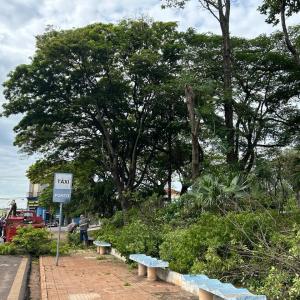 Imagem da notícia NOTA - ENXAME DE ABELHAS NA PRAÇA DA RODOVIÁRIA: PEDESTRES DEVEM EVITAR O LOCAL