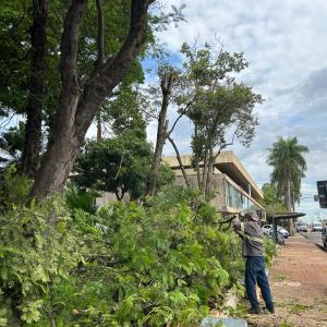 Imagem da notícia NOTA - ENXAME DE ABELHAS NA PRAÇA DA RODOVIÁRIA: PEDESTRES DEVEM EVITAR O LOCAL