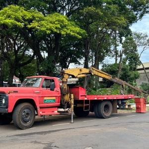 Imagem da notícia NOTA - ENXAME DE ABELHAS NA PRAÇA DA RODOVIÁRIA: PEDESTRES DEVEM EVITAR O LOCAL