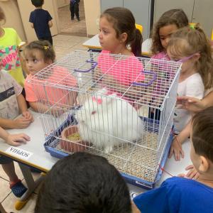 Imagem da notícia ESCOLAS MUNICIPAIS DESENVOLVEM ATIVIDADES EM COMEMORAÇÃO À PÁSCOA