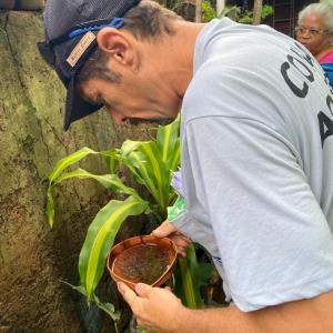 Imagem da notícia COMBATE À DENGUE - JARDIM MARIA LUIZA IV