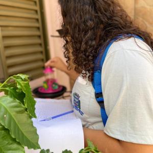 Imagem da notícia COMBATE À DENGUE - AÇÕES EM PONTOS ESTRATÉGICOS